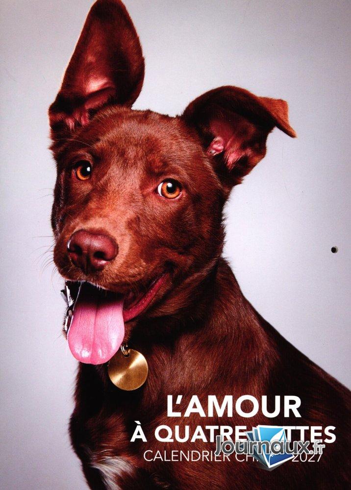 Calendrier 2027 chiens l&rsquo;amour à quatre pattes